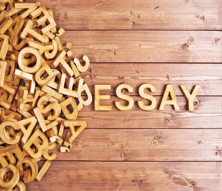 sociology essay tips